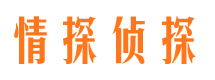 朝阳私家调查公司